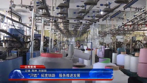 网路拓宽销路，服务推进发展 软件开发与技术服务的新引擎